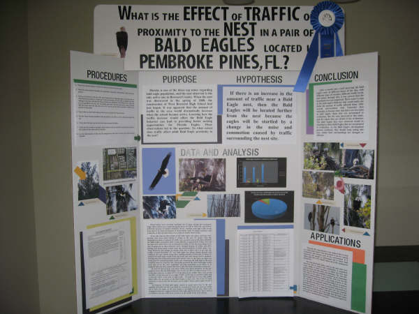 Science Fair Projects For 7th Grade Life Science