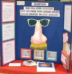 Science Fair Projects For 8th Graders Winning Ideas