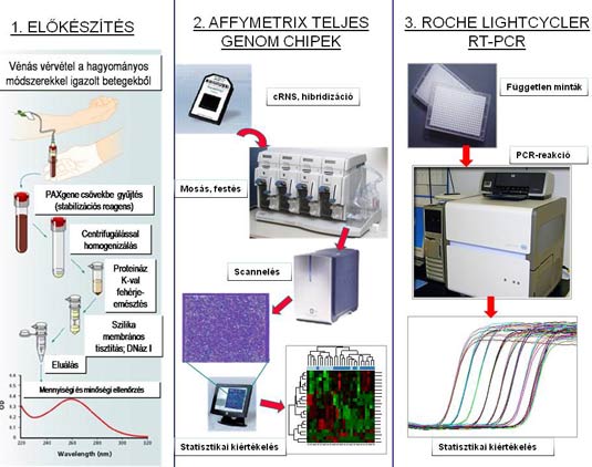 Science Fair Projects For High School Biology