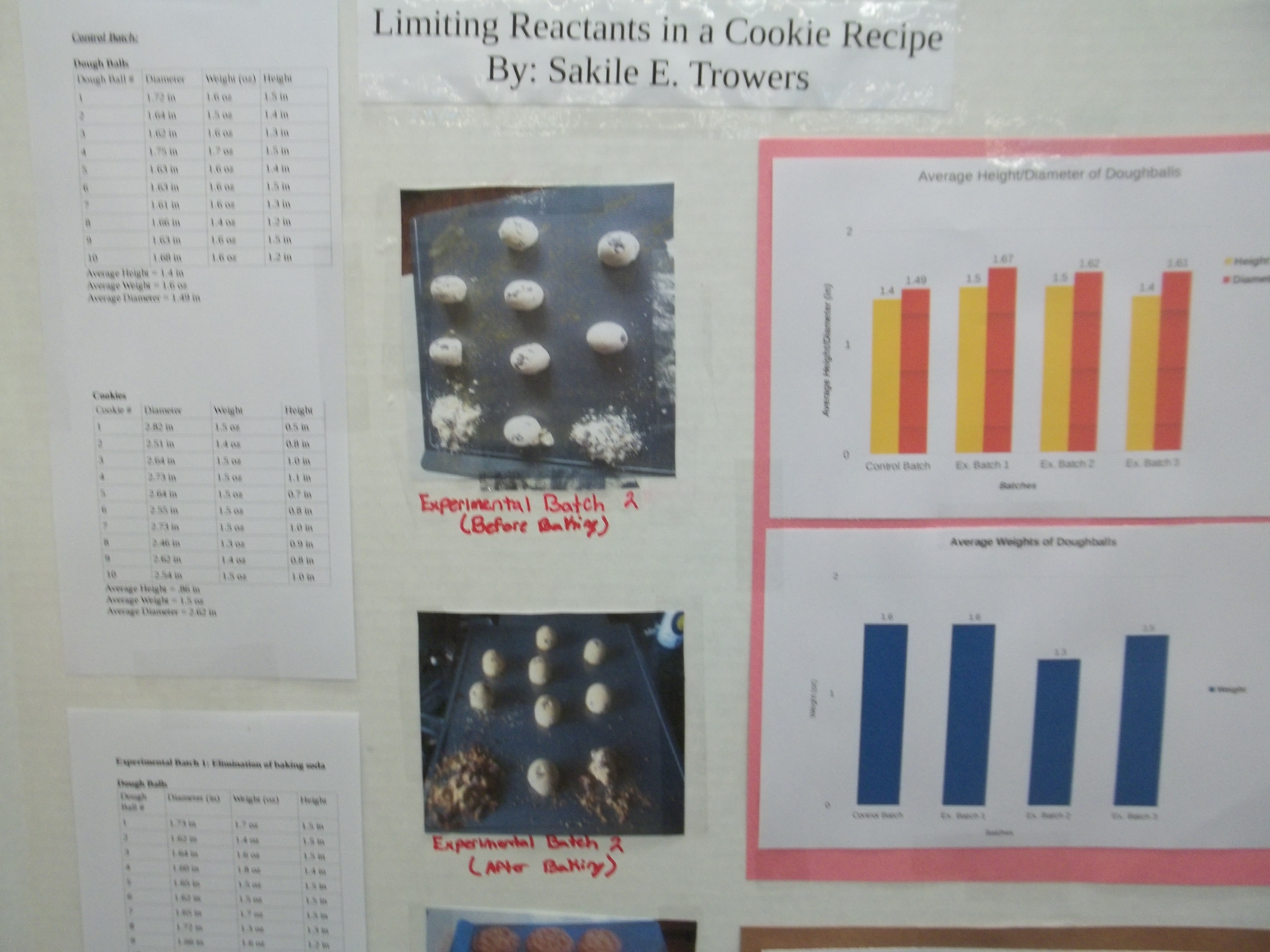 Science Fair Projects For High School Biology Students