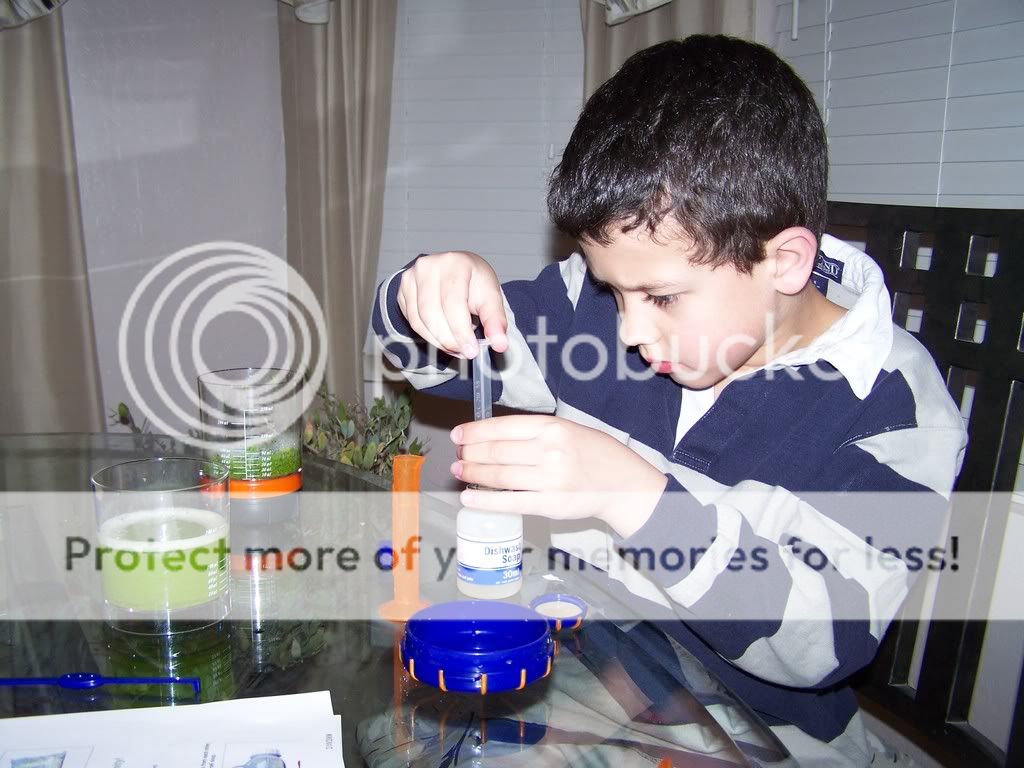 Science Fair Projects For Kids Ideas