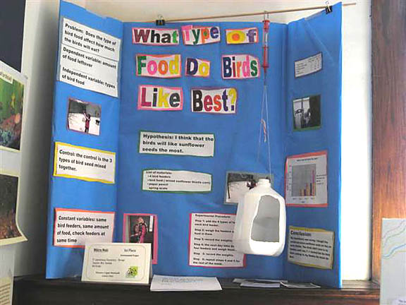 Science Fair Projects For Kids In 4th Grade