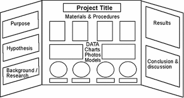 Science Fair Projects For Kids In 7th Grade