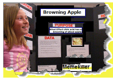 Science Fair Projects Ideas