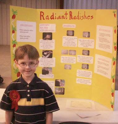 Science Fair Projects Ideas For 3rd Grade