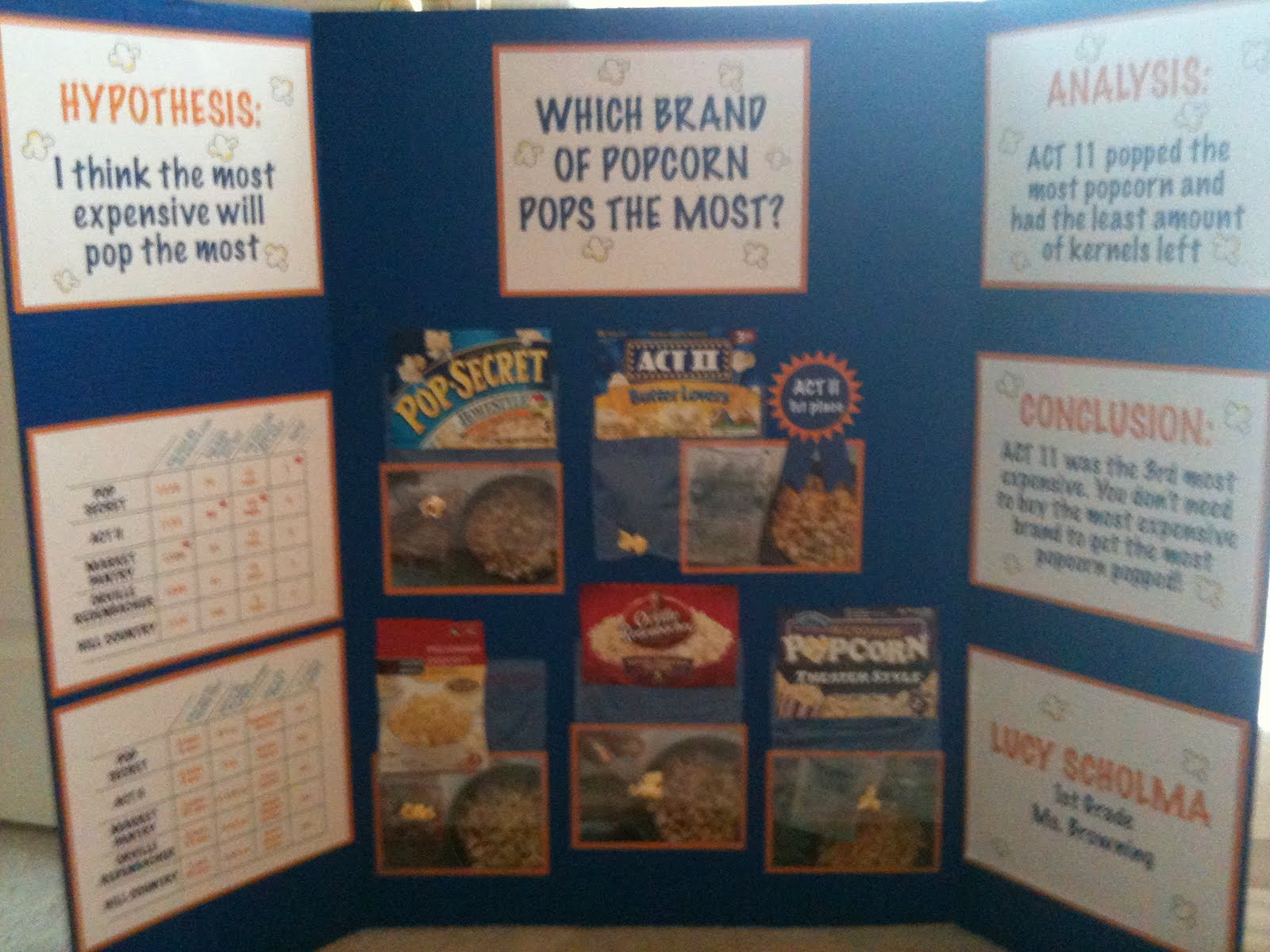 Science Fair Projects Ideas For 7th Grade