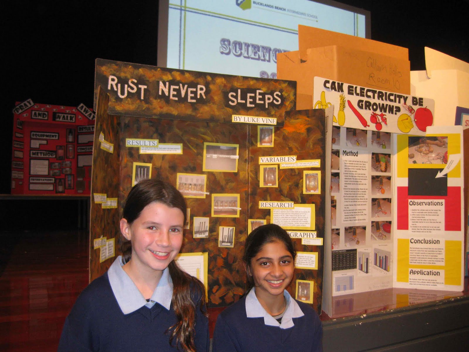 Science Fair Projects Ideas For 8th Grade