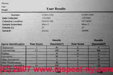 Science Lab Report Format High School