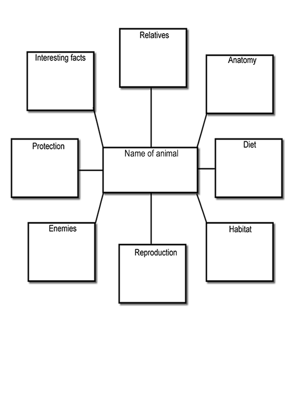 Science Lab Report Outline