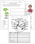 Science Lab Report Rubric