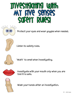 Science Lab Safety Rules For Kids