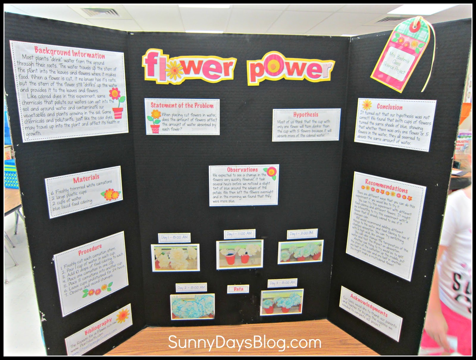 Science Projects For Class 8 Free Download