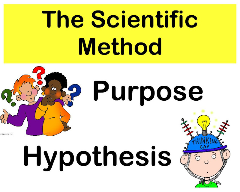 Science Projects For Class 9 Pdf