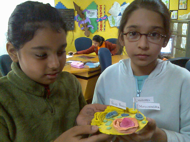 Science Projects Models For Kids