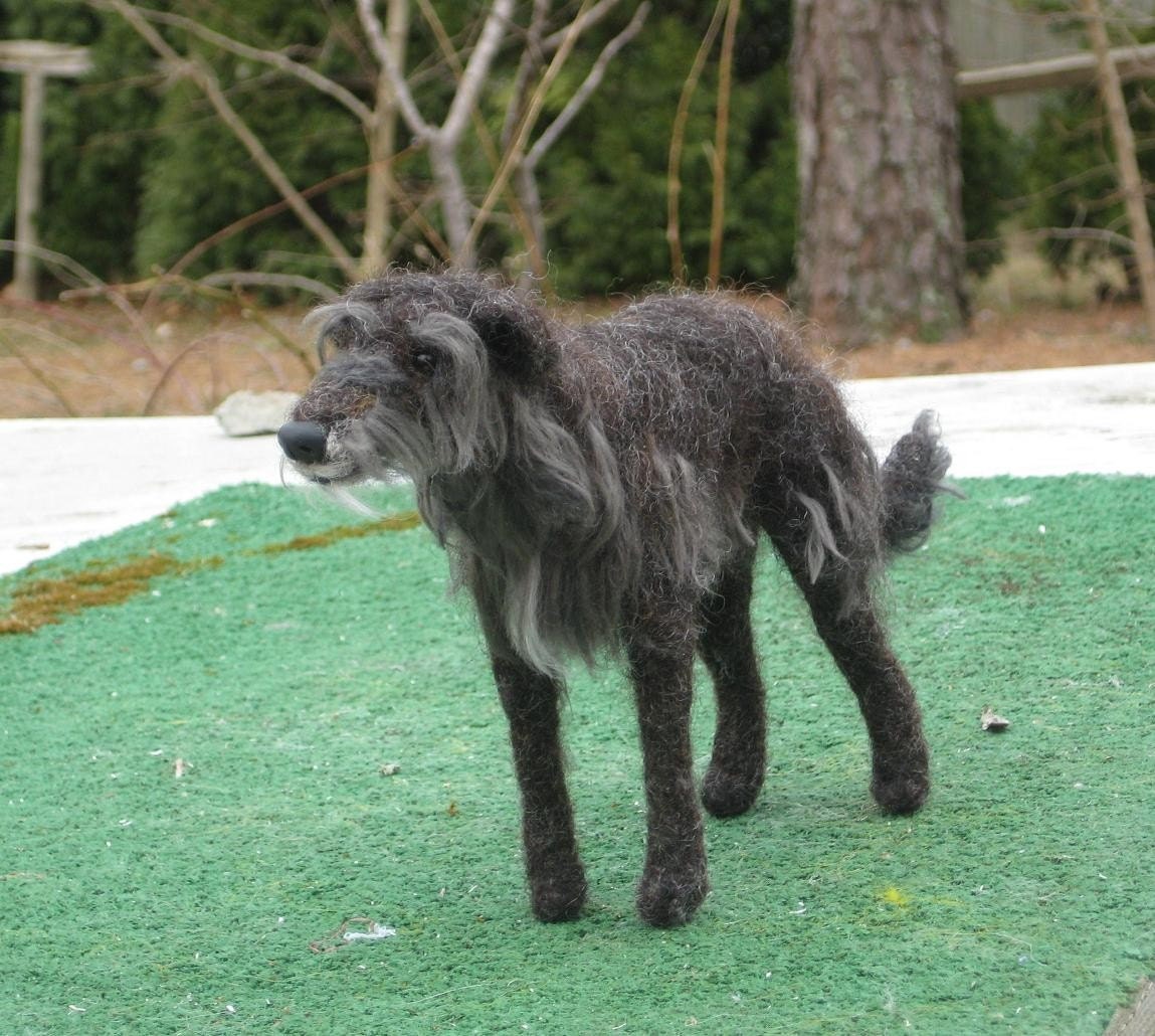 Scottish Deerhound Dog