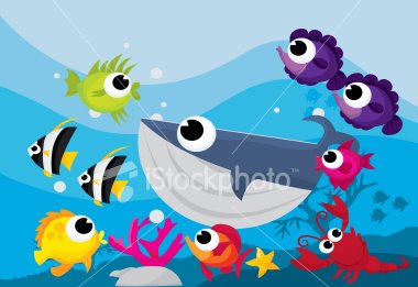 Sea Animals Cartoon Pictures