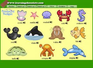 Sea Animals Pictures With Names