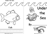 Sea Animals Pictures With Names For Kids