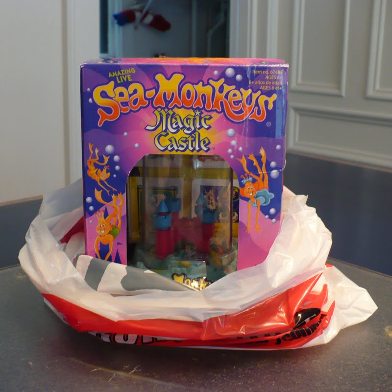 Sea Monkeys