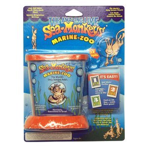 Sea Monkeys Ocean Zoo Review