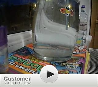 Sea Monkeys Ocean Zoo Review