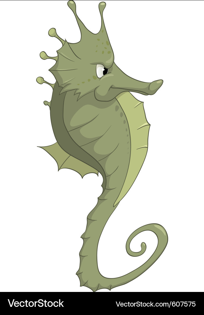 Seahorse Cartoon Drawing