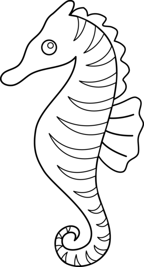 Seahorse Cartoon Drawing