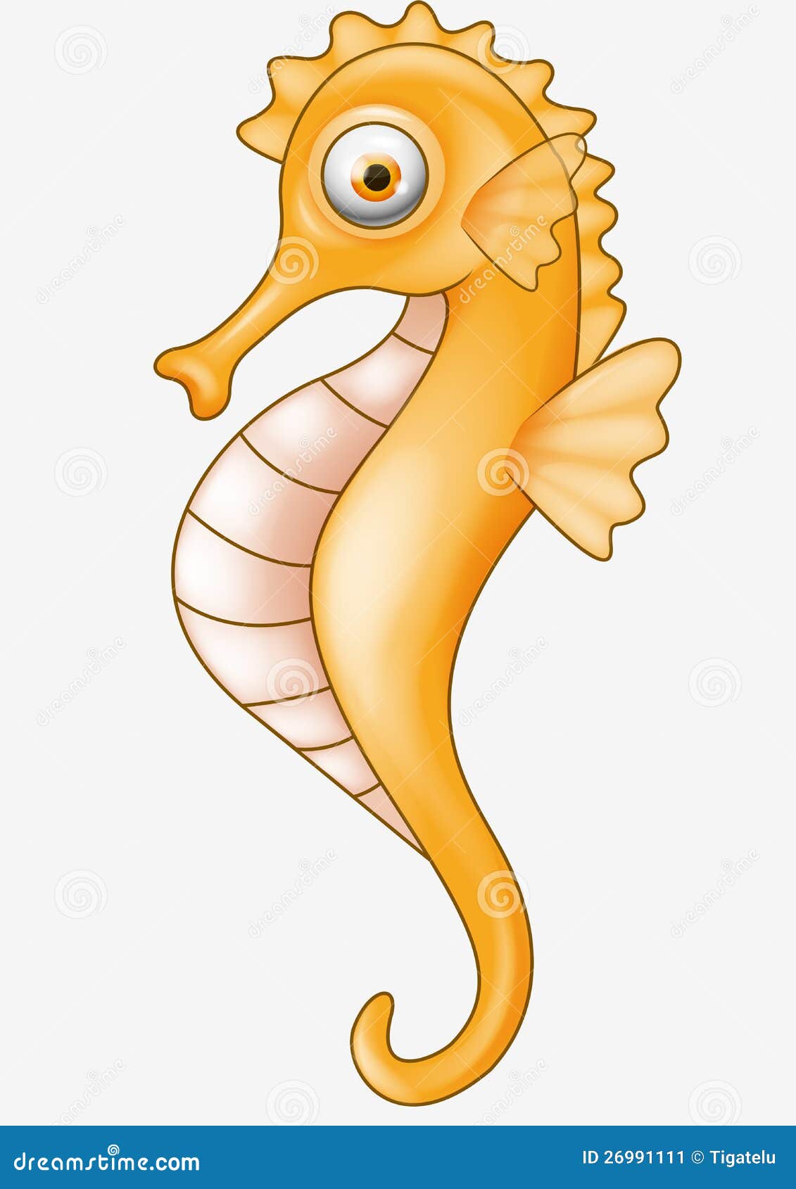 Seahorse Cartoon Images