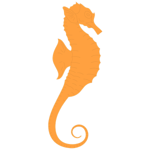 Seahorse Clipart Free