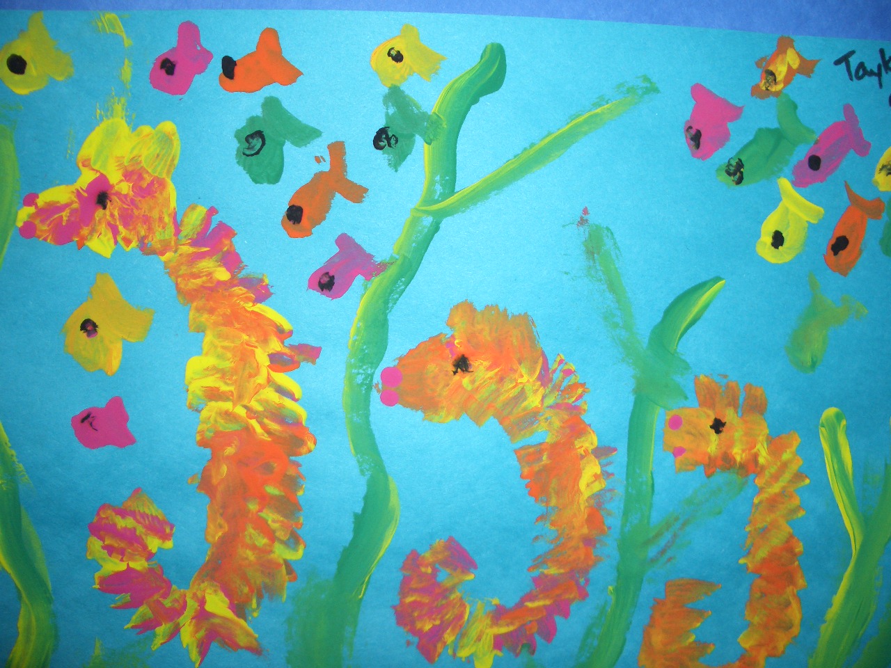 Seahorse Drawing For Kids