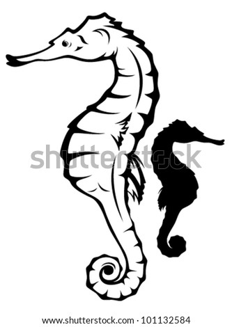 Seahorse Drawing Outline