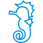 Seahorse Drawing Outline