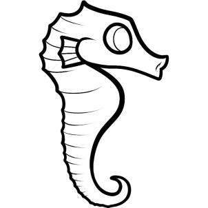 Seahorse Drawing Outline