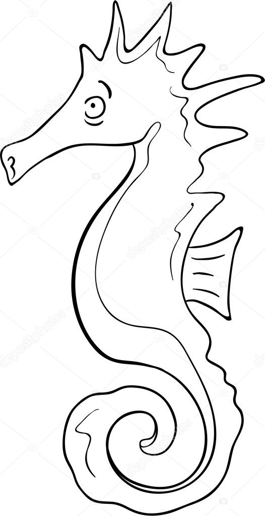 Seahorse Images Cartoon