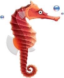 Seahorse Images Free