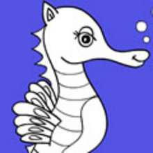 Seahorse Outline Coloring Page