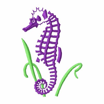 Seahorse Outline Coloring Page