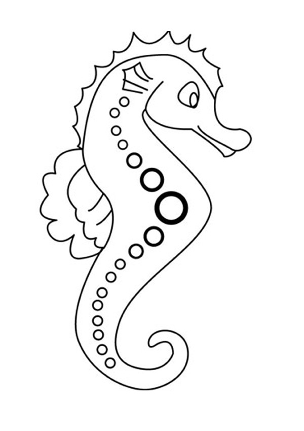 Seahorse Outline Drawing