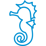 Seahorse Outline Picture