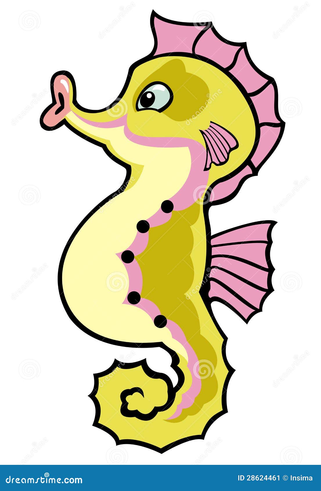 Seahorse Pictures For Kids