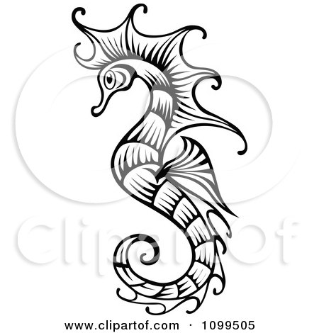 Seahorse Pictures Free