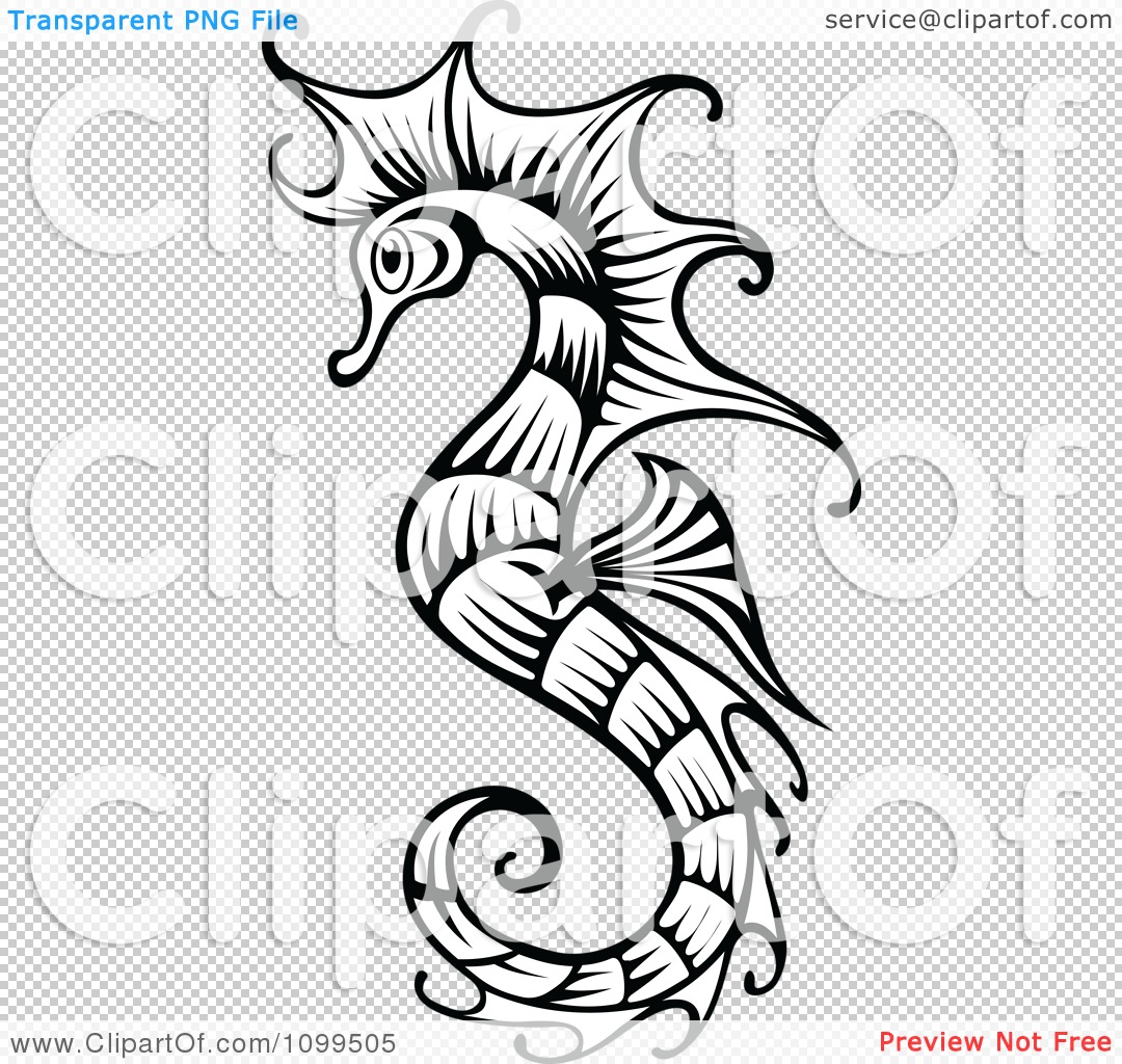 Seahorse Pictures Free