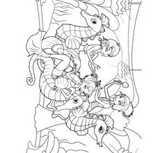 Seahorse Pictures To Colour