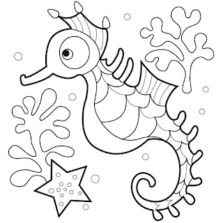 Seahorse Pictures To Colour