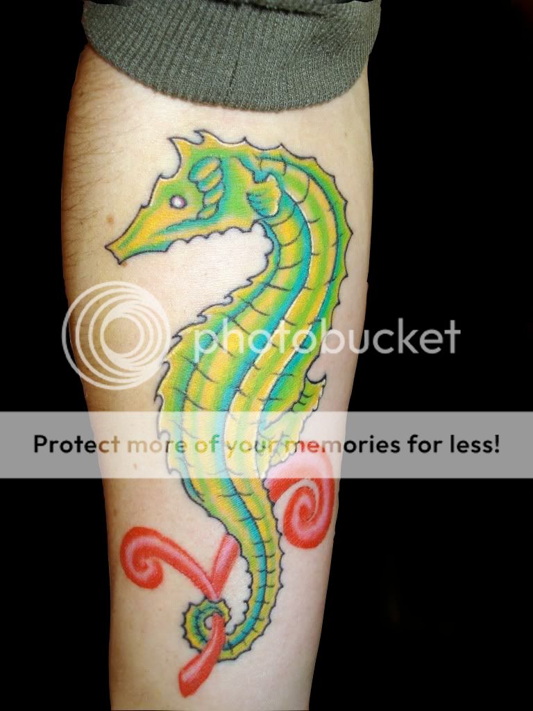 Seahorse Tattoo Images