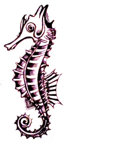 Seahorse Tattoo Images