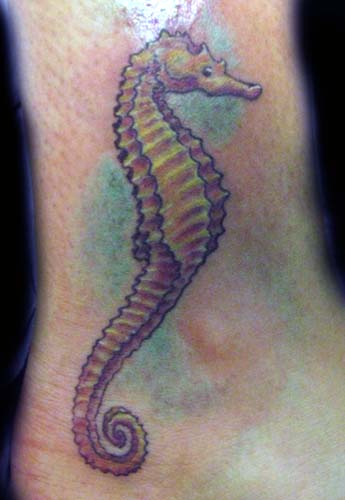 Seahorse Tattoo Pictures