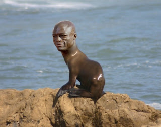 Seal Singer Funny