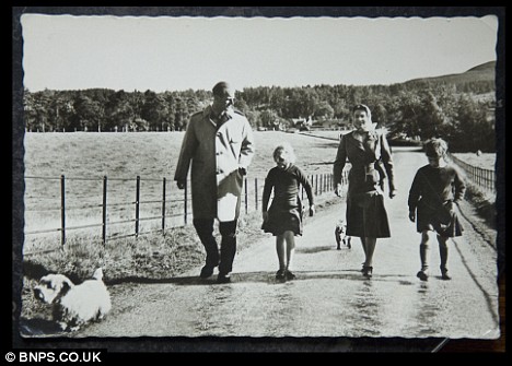 Sealyham Terrier Breeders Uk