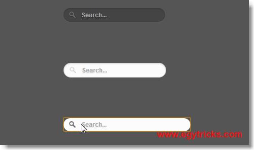 Search Bar Css